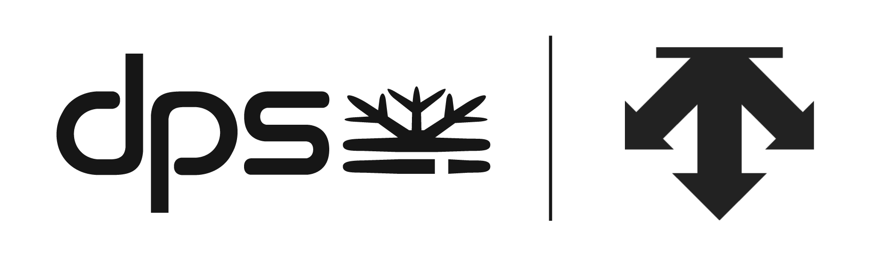 DPS Skis / Descente